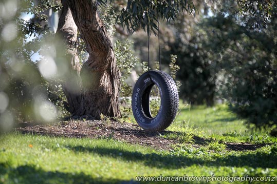 Childhood memories - a tyre swing in Clifton Rd, Te Awanga photograph